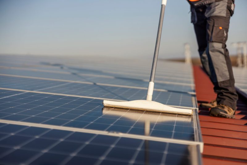 Technician cleaning solar panels